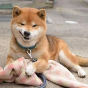 相信你也害怕遇到這幾種人吧？