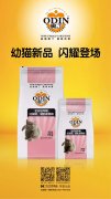 奧丁精品幼貓糧閃耀登場(chǎng)?。?！