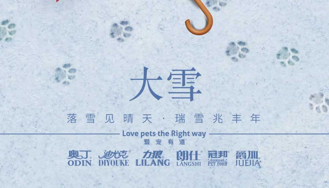 大雪丨雪落知寒意 久伴見(jiàn)初心！